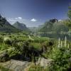 Natur pur 