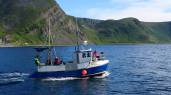 Boot Viking Sea 32ft. Motor: 95 PS Cattarpiler /Diesel, exklusive Treibstoff