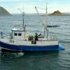 Boot Viking Sea 32ft. Motor: 95 PS Cattarpiler /Diesel