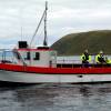 Dieselboot Alma 30ft, 74PS. Echolot, GPS, Kartenplotter 